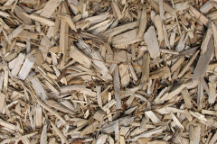 biomass boilers Sauchen