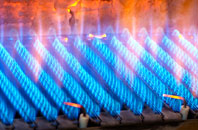 Sauchen gas fired boilers